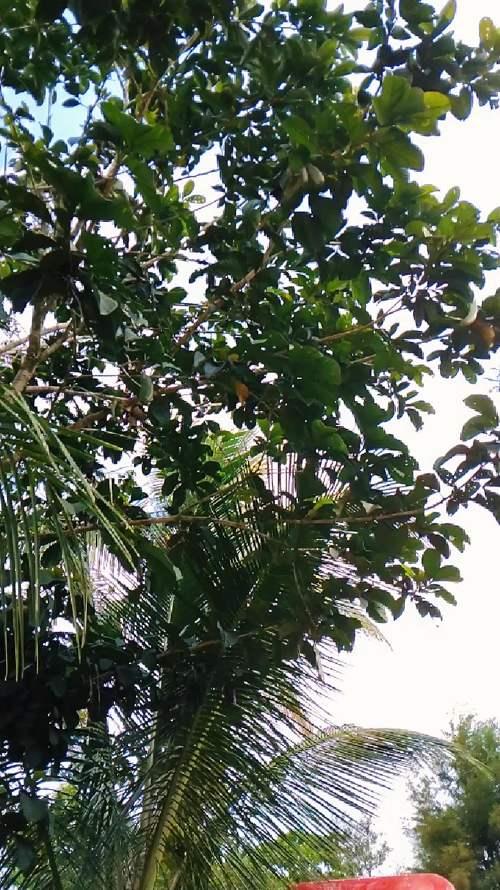 @KM🇳🇮