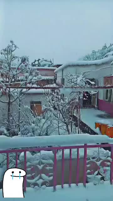 @mahbobaN