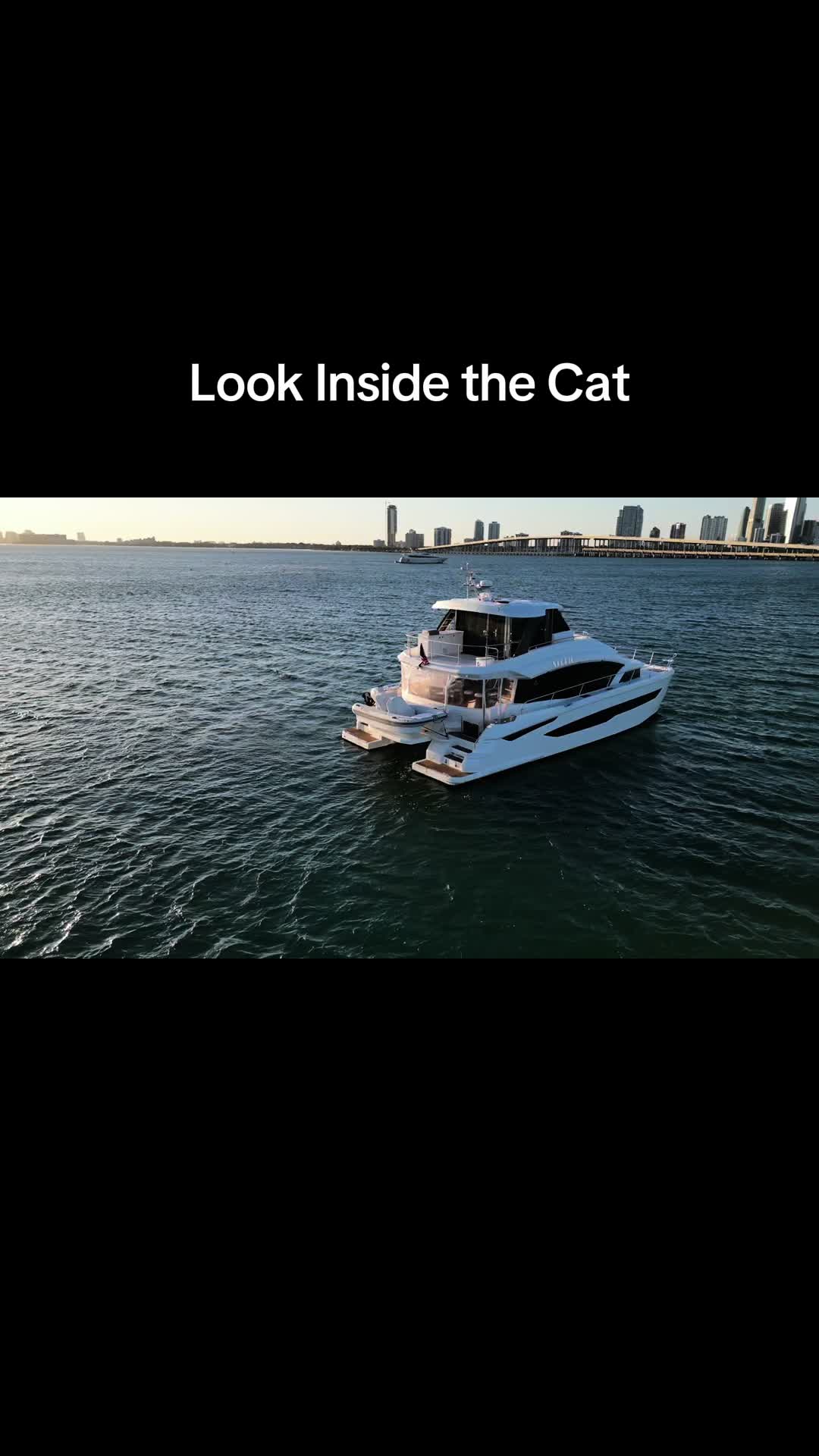 @Aboard the Dream