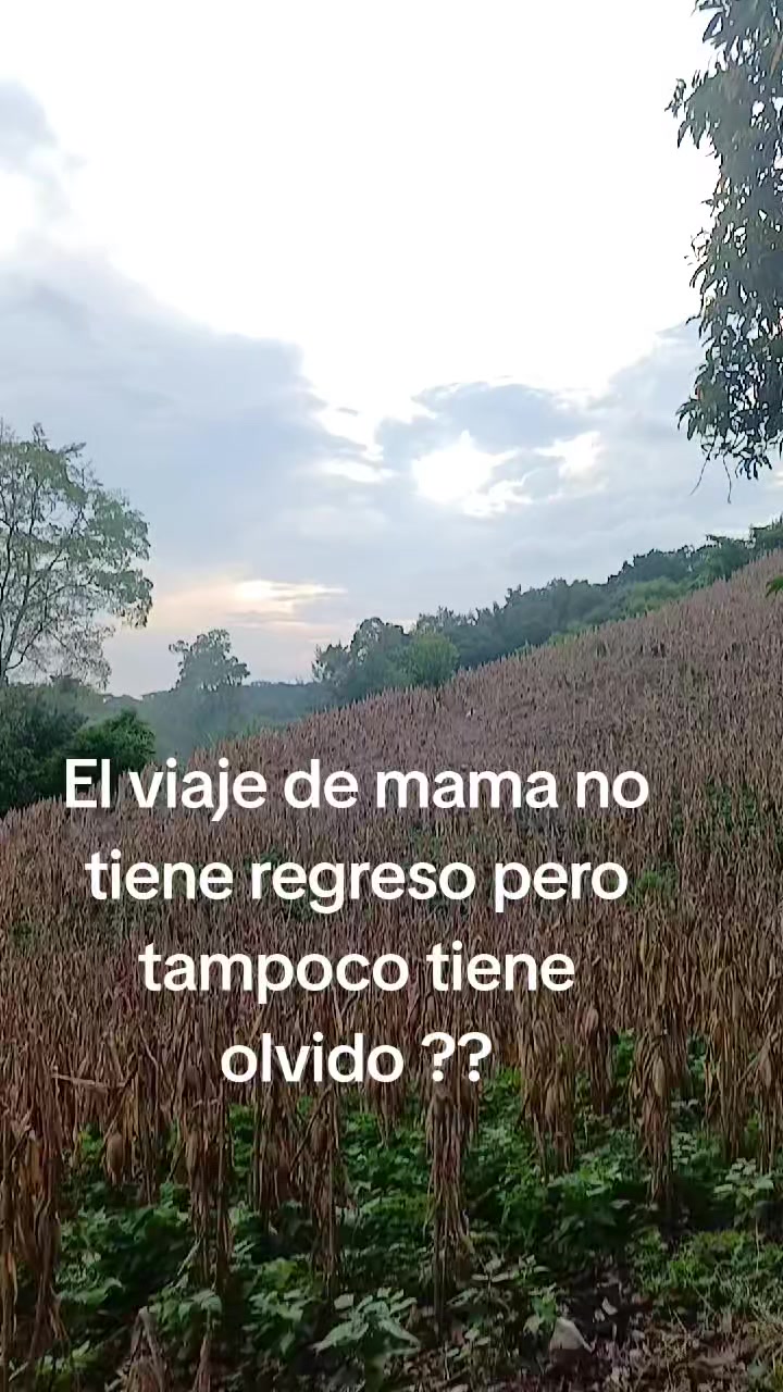 @Geraldin