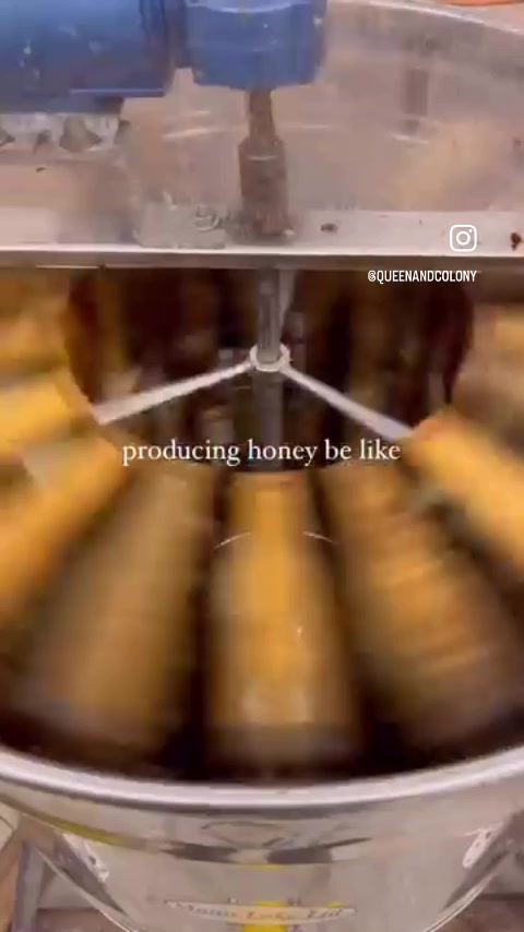 @queenandcolony