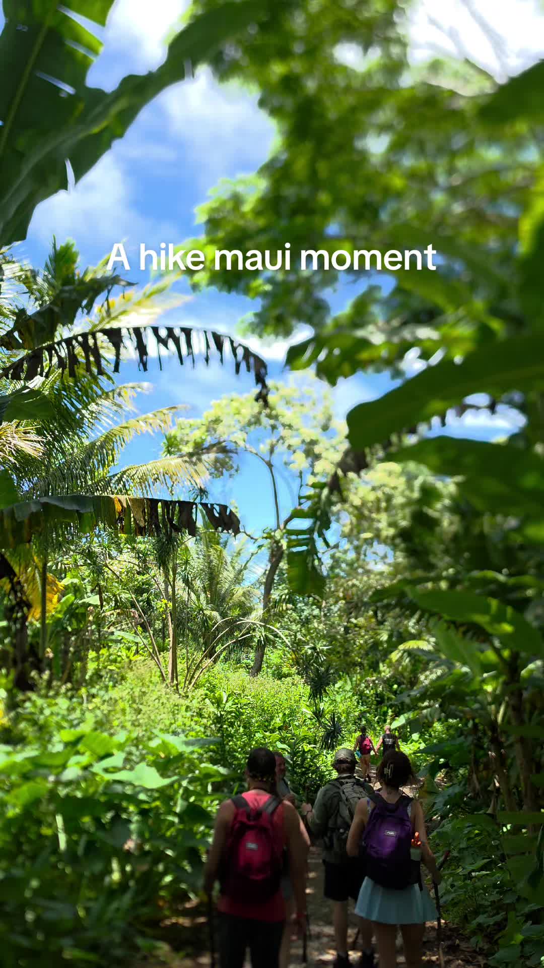 @Hike Maui