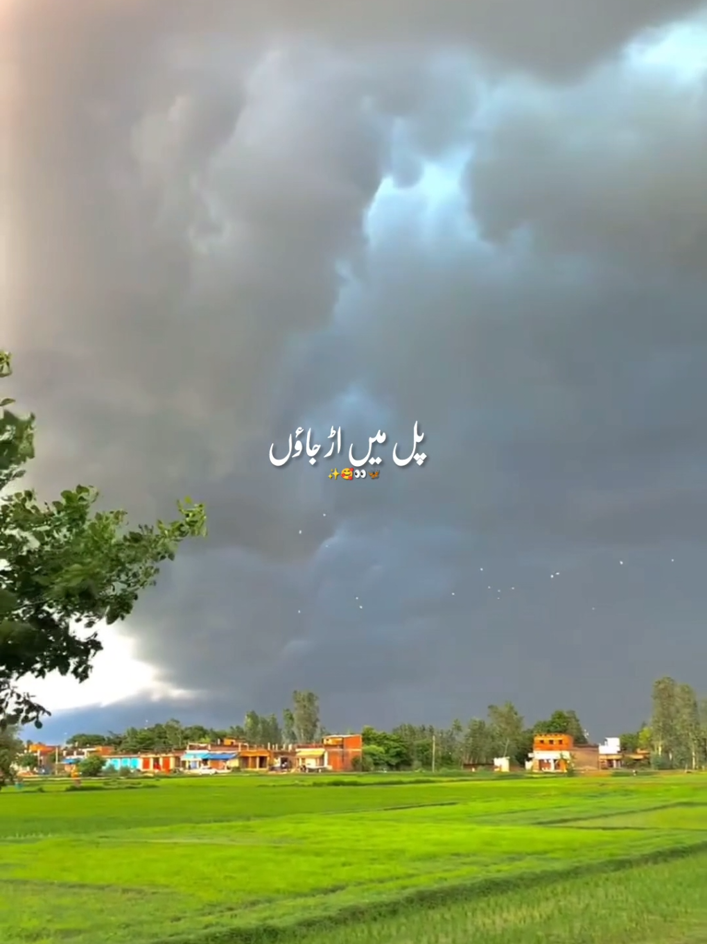 @💘💔زخمی دل💔💘