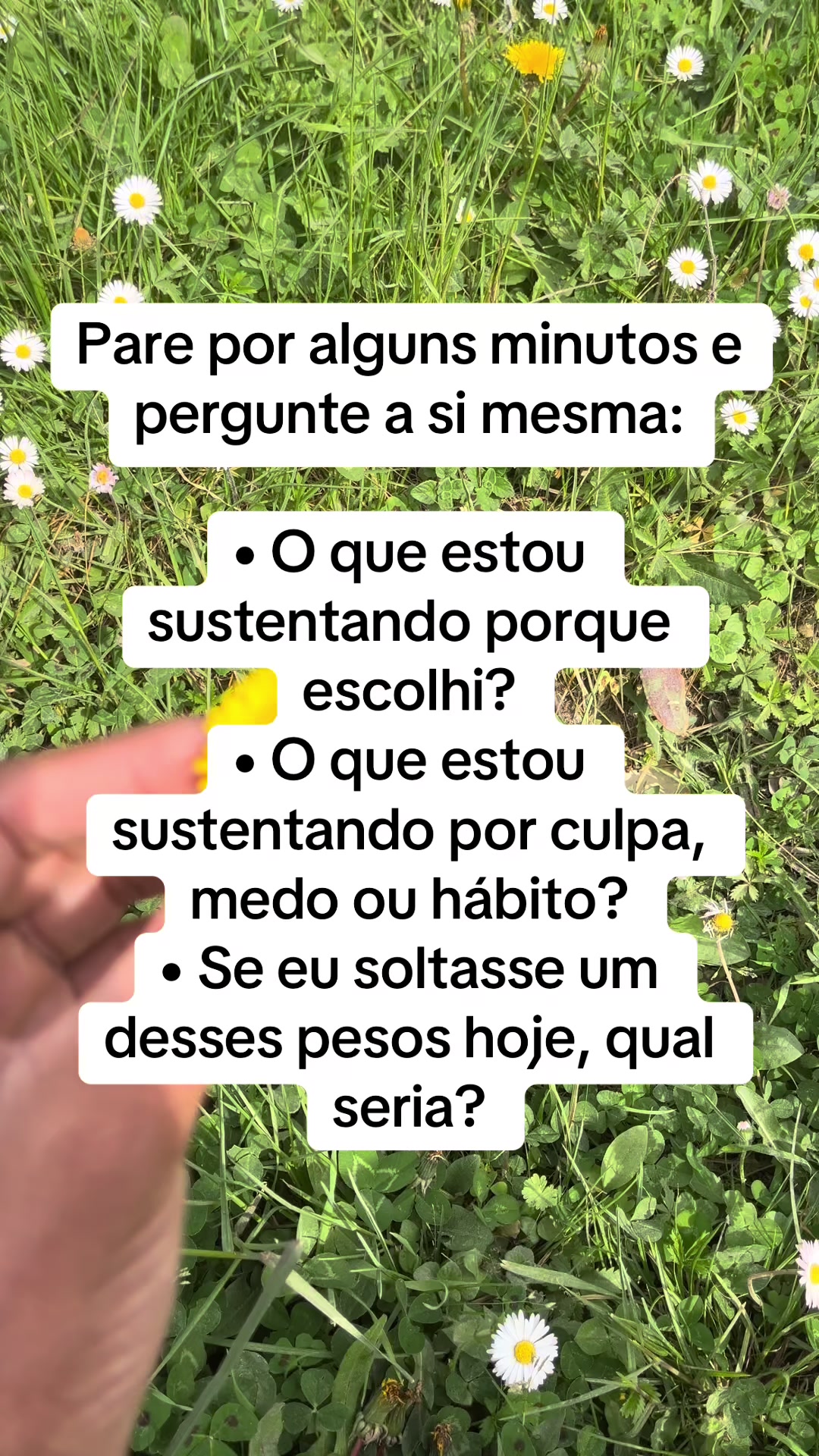 @Vanessa E. Santos | Terapeuta