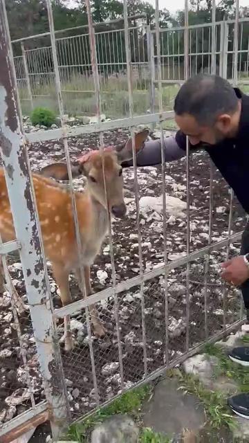 @huseynabbasov82