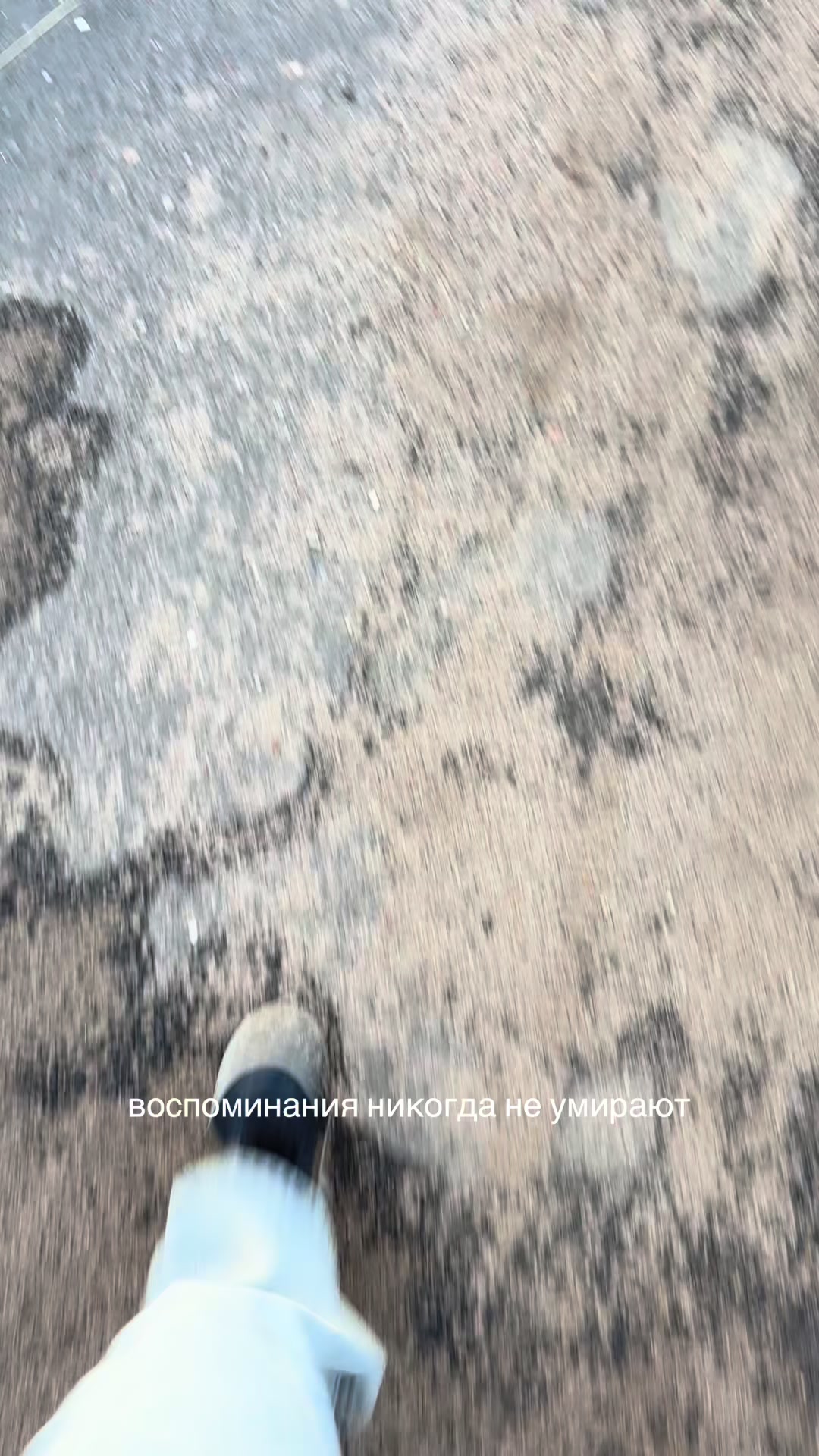 @амик мур🐈⬛