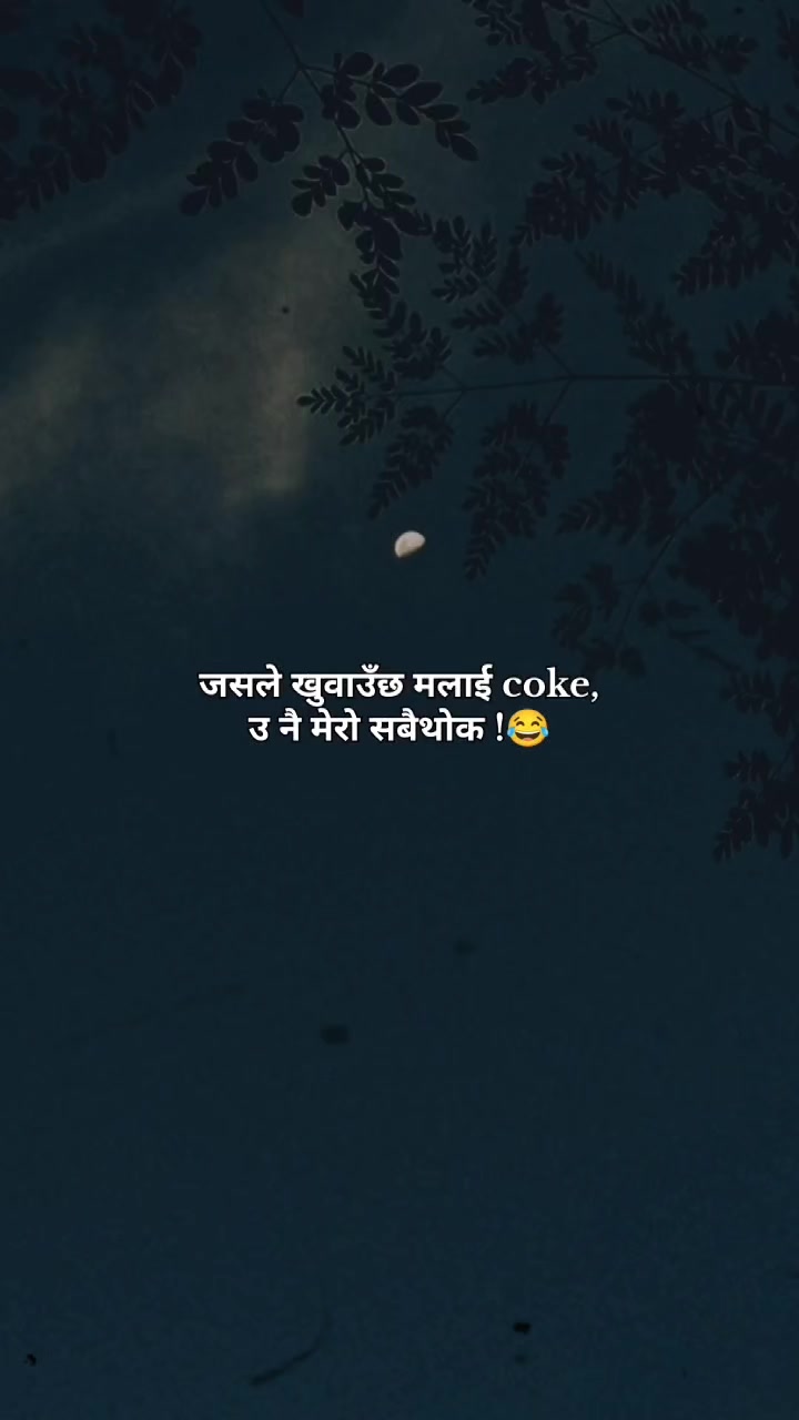 @꧁𝐒𝐮𝐧𝐢𝐥 𝐄𝐝𝐢𝐭𝐳꧂