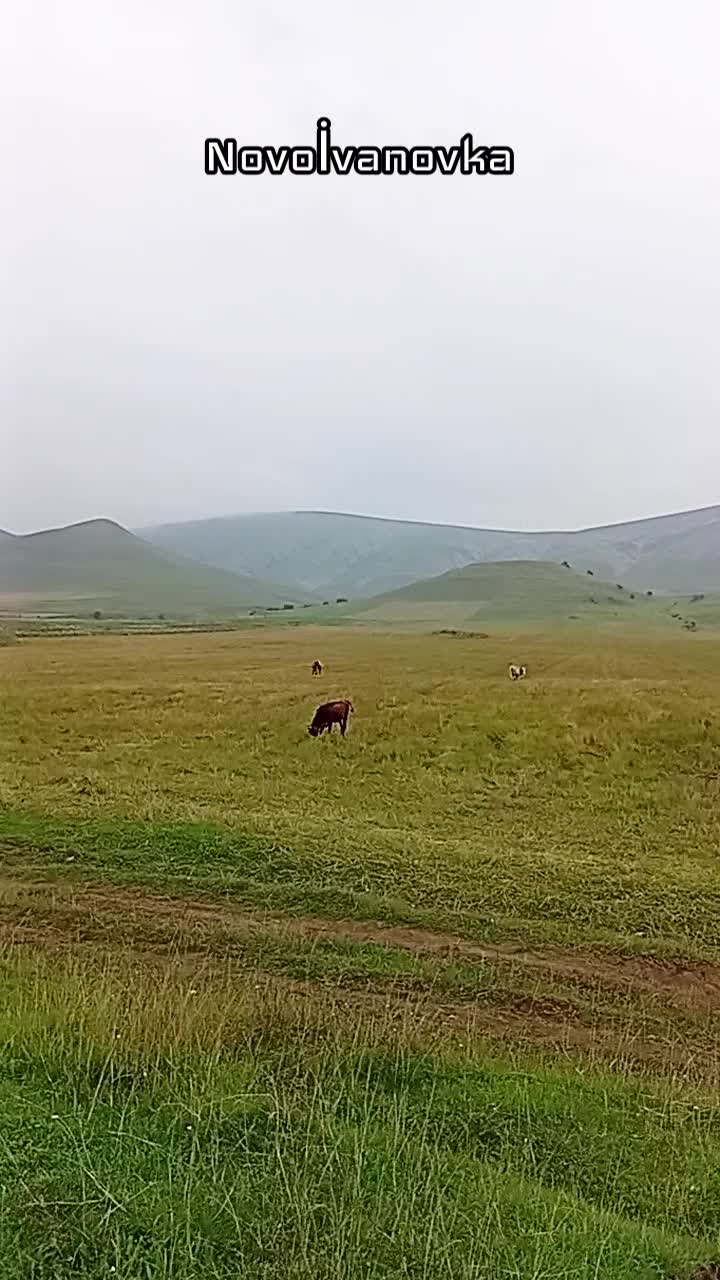 @👉❤️Novoivanovka ❤️👈