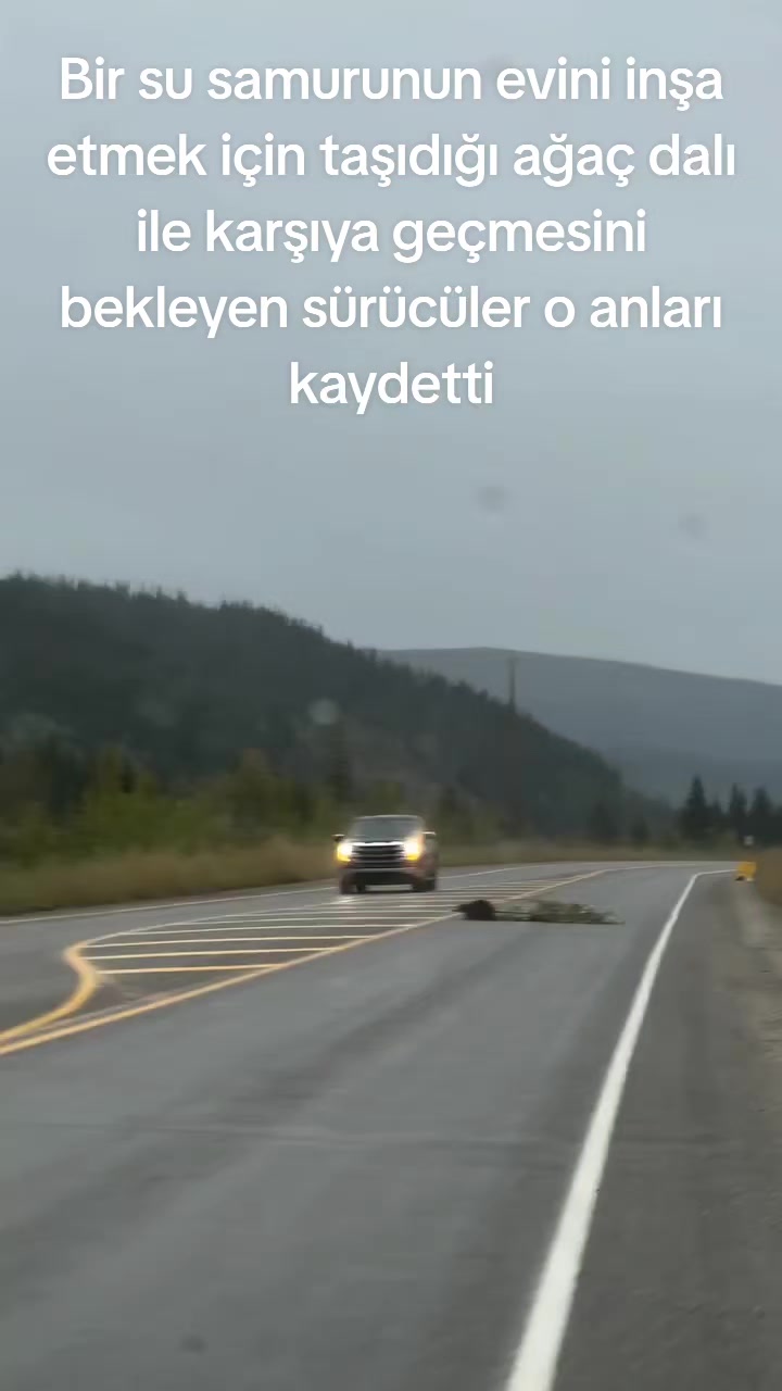 @Afyon Kent Haber