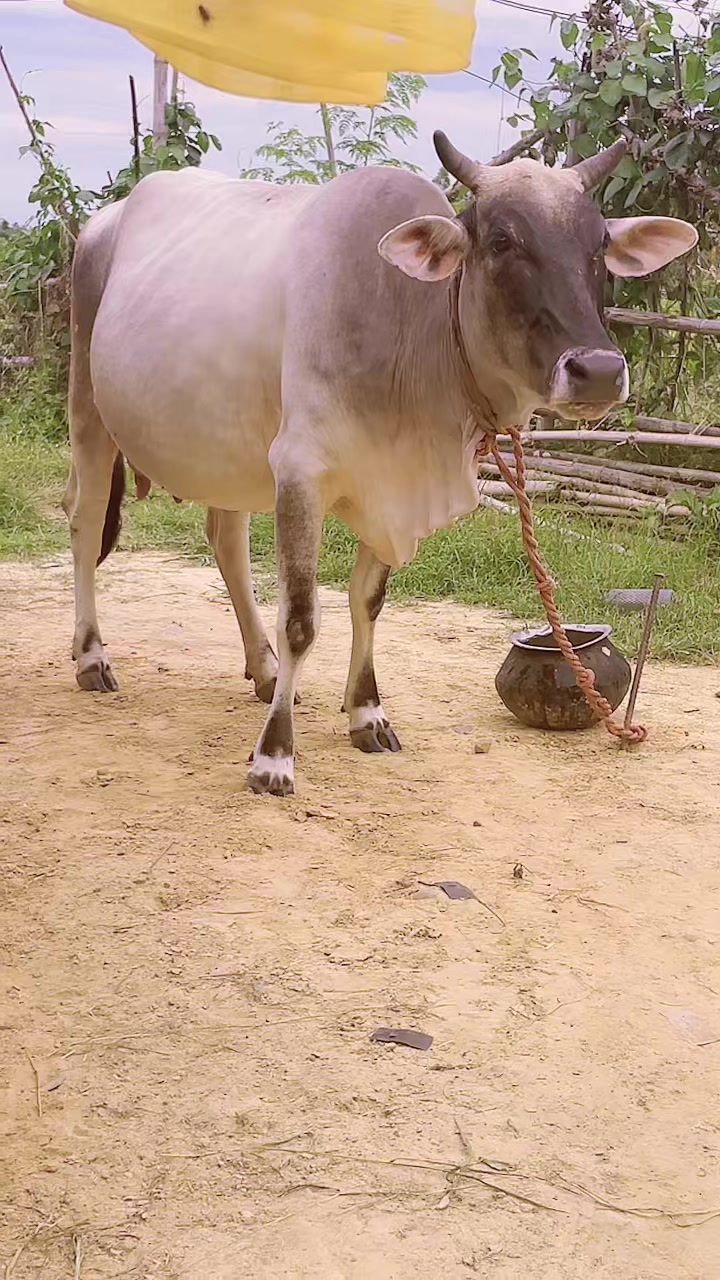 @Ramkushwaha108