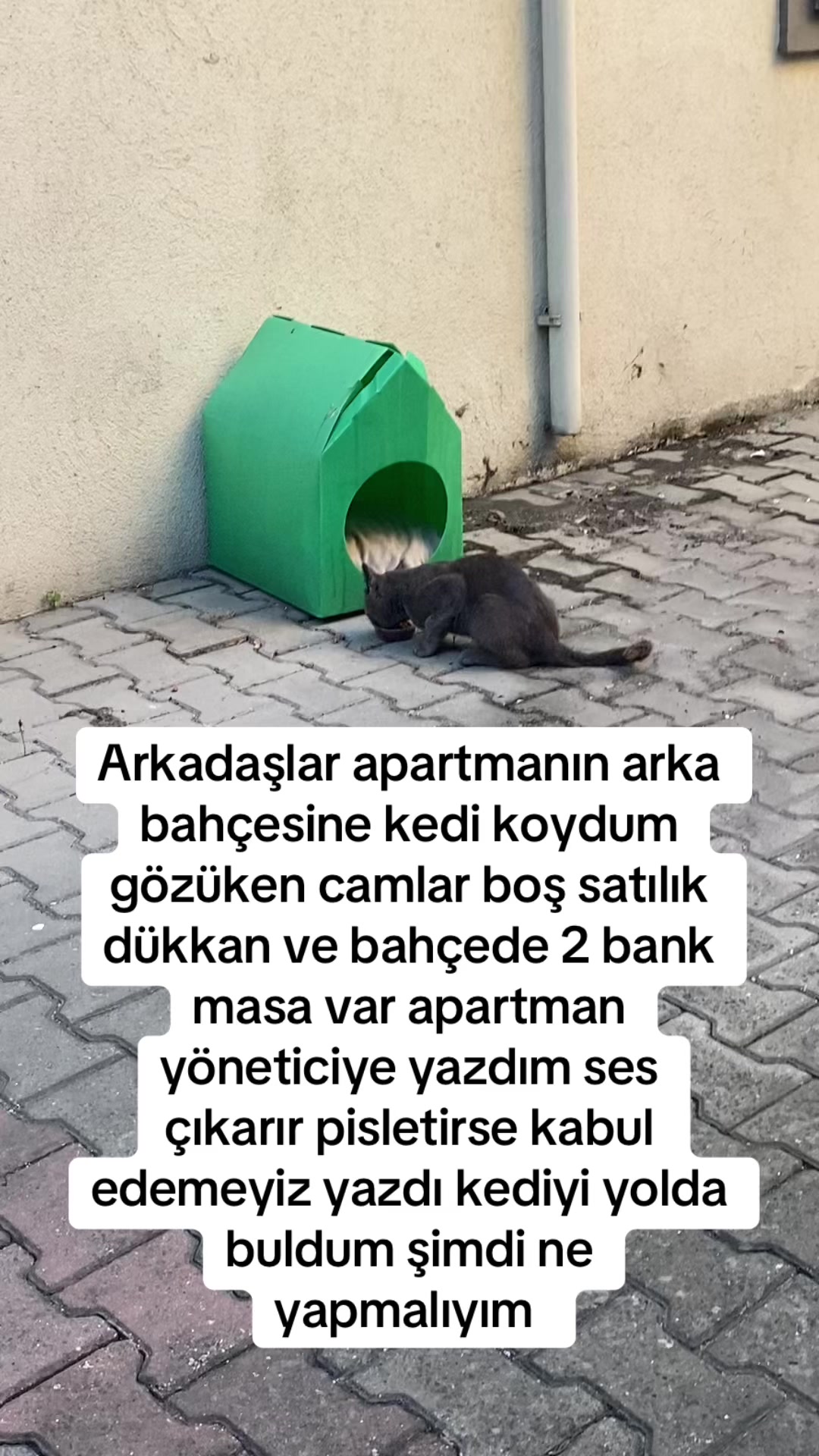 @yudummz_