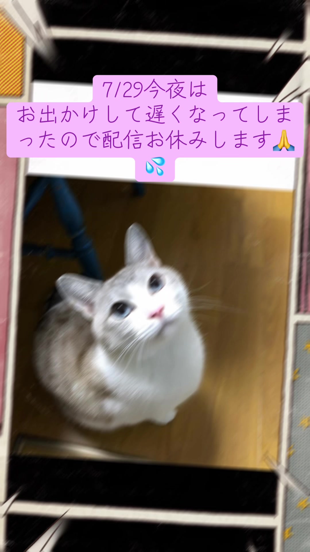 @ねこみみちゃん😸🍰🎀💌💗