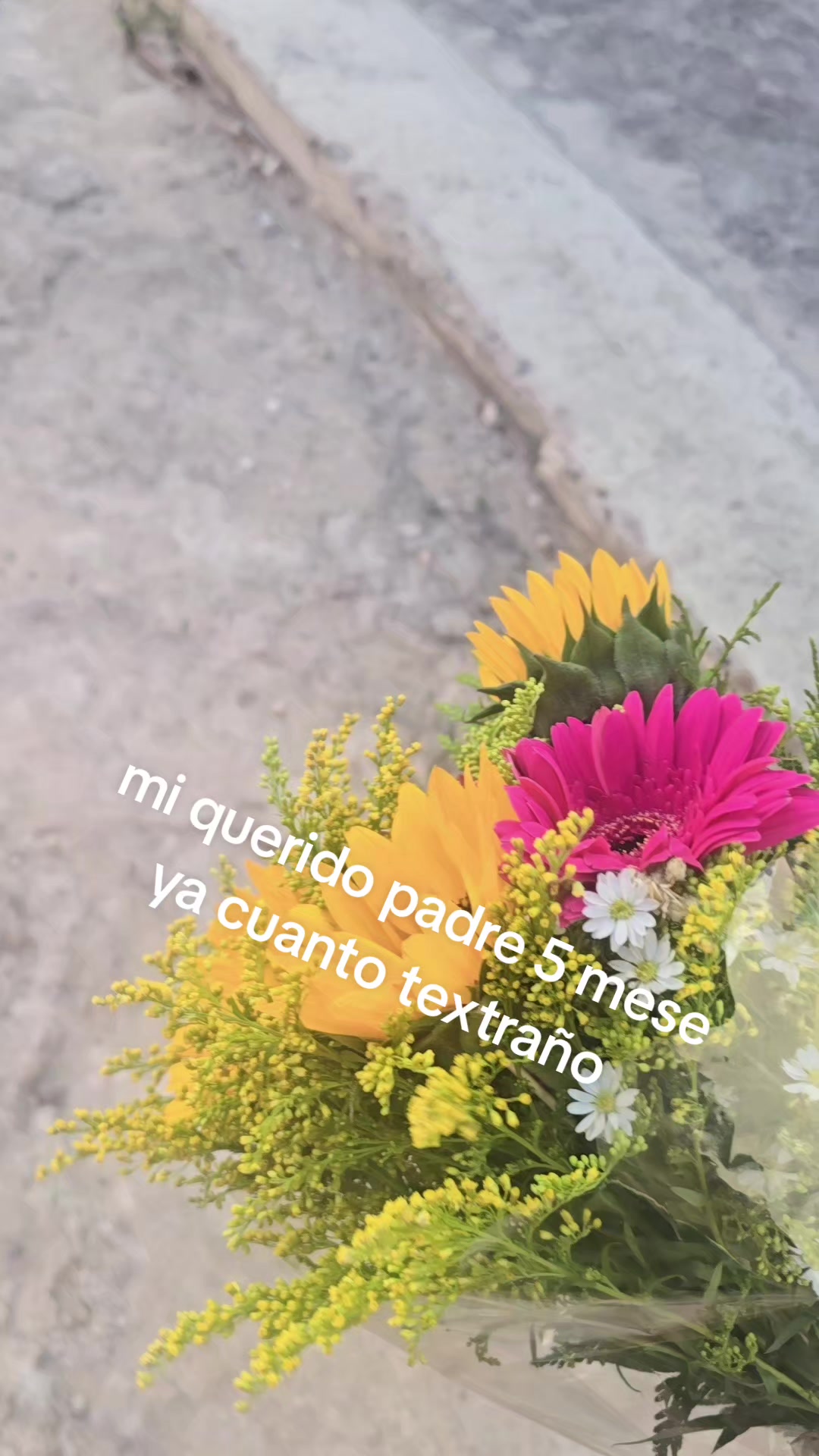 @ginalora25