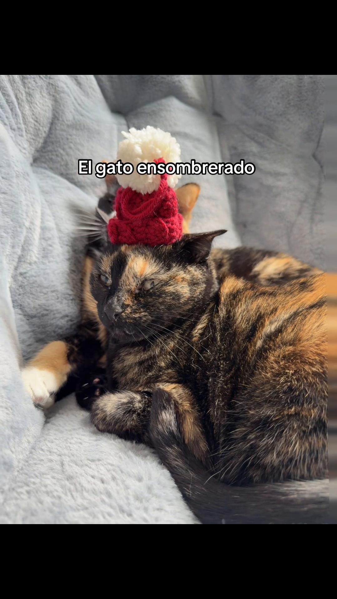 @Kenzie ๐