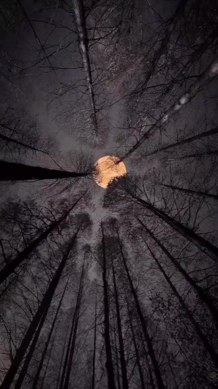 @ლარა🫰🇬🇪🫰