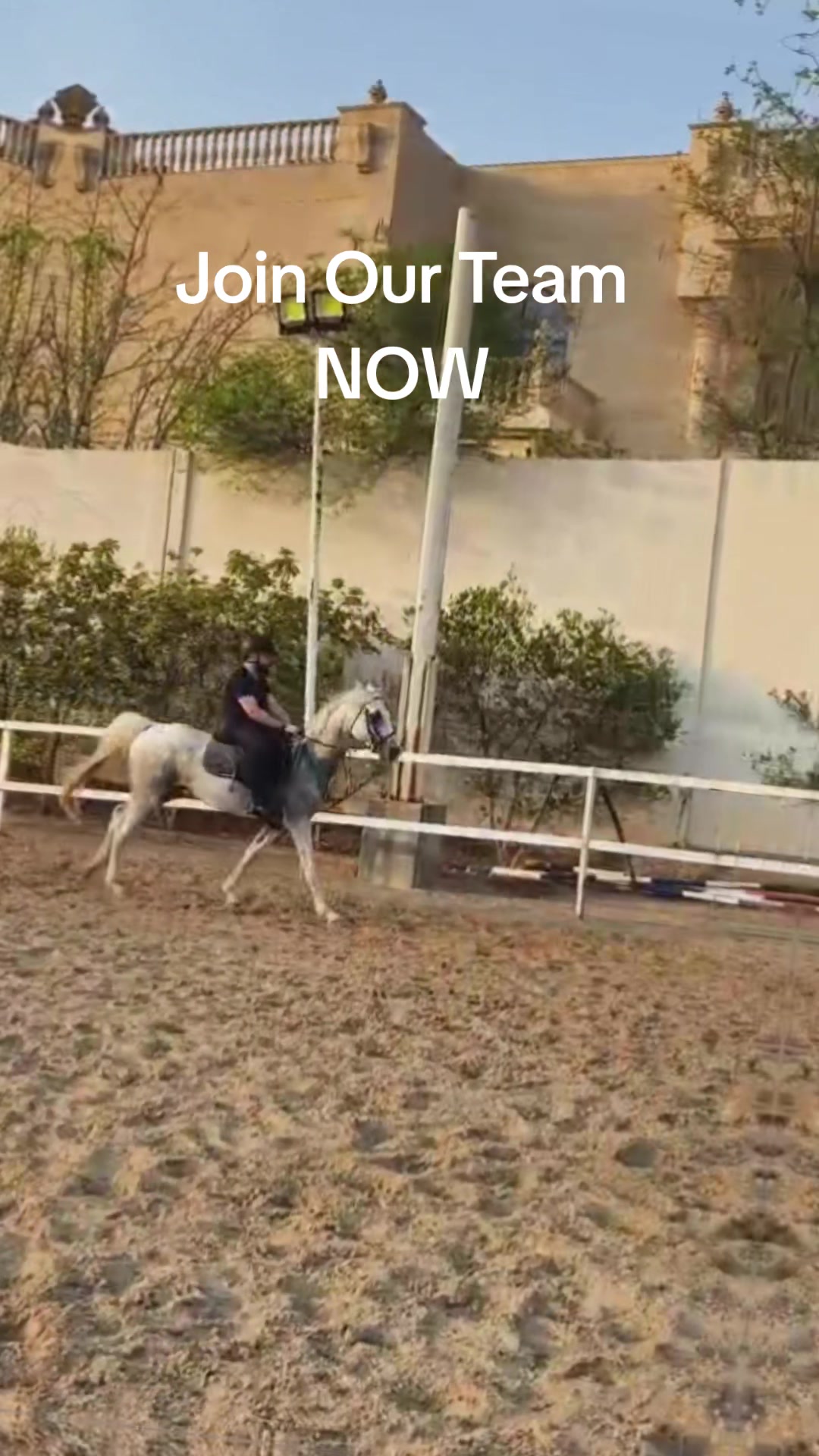 @Bassant El Dowaik