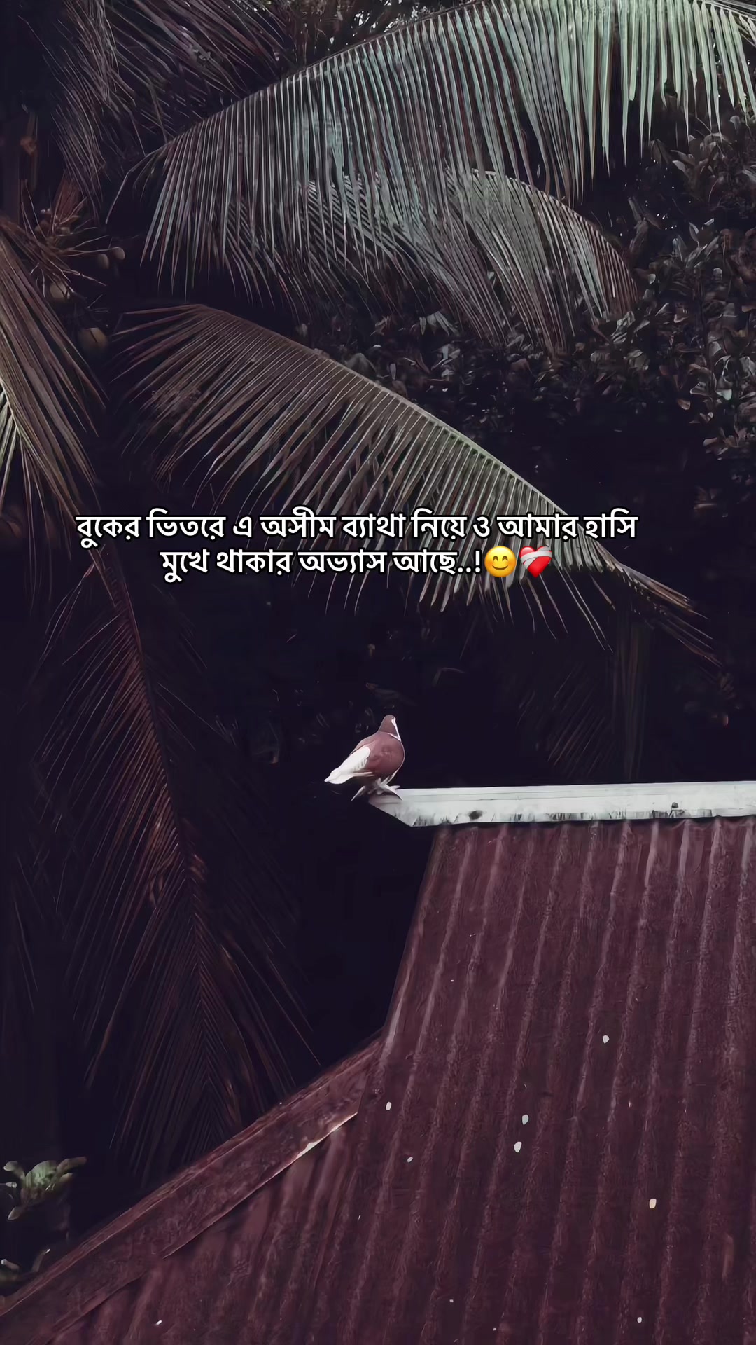 @the_spydoo🕸️ 🥏