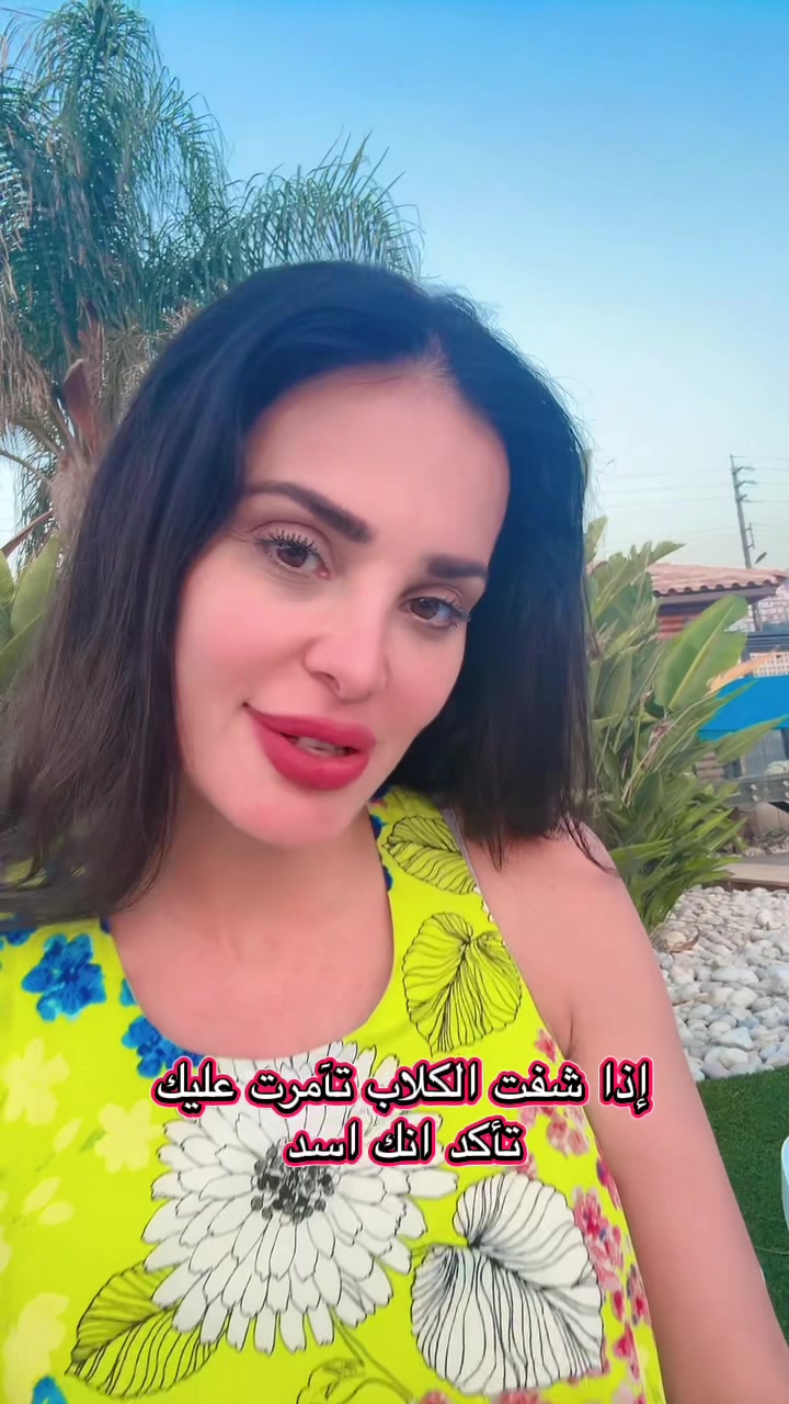 @Dominique Hourani