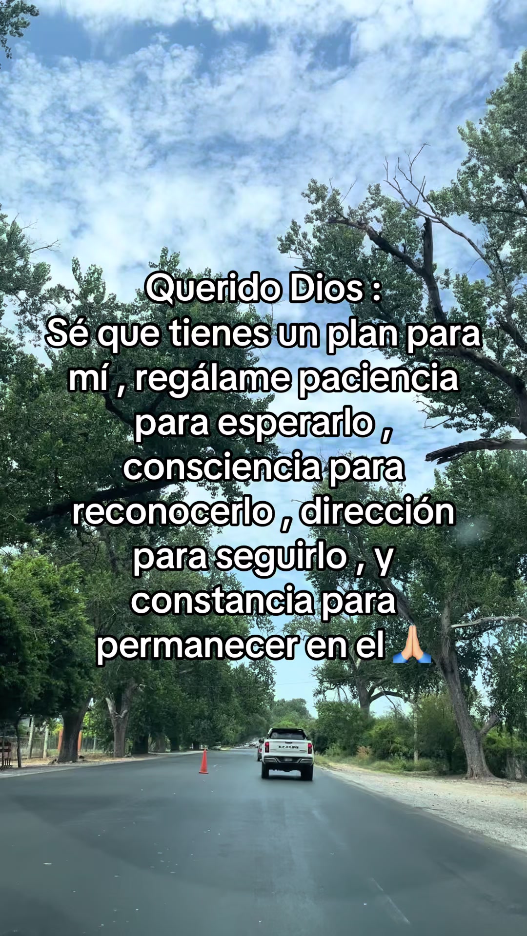 @Lizz Palacios