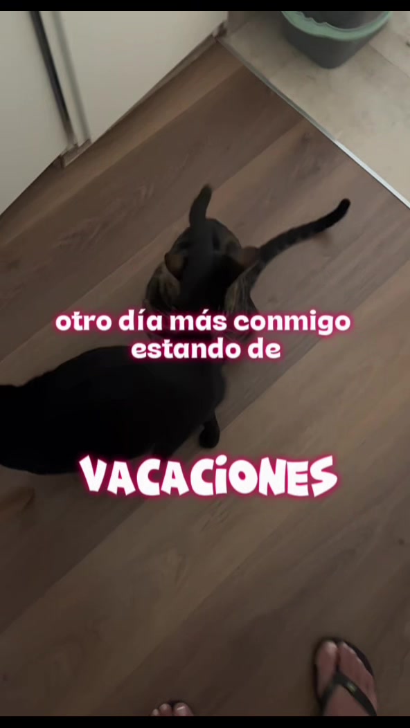 @alba⭐️
