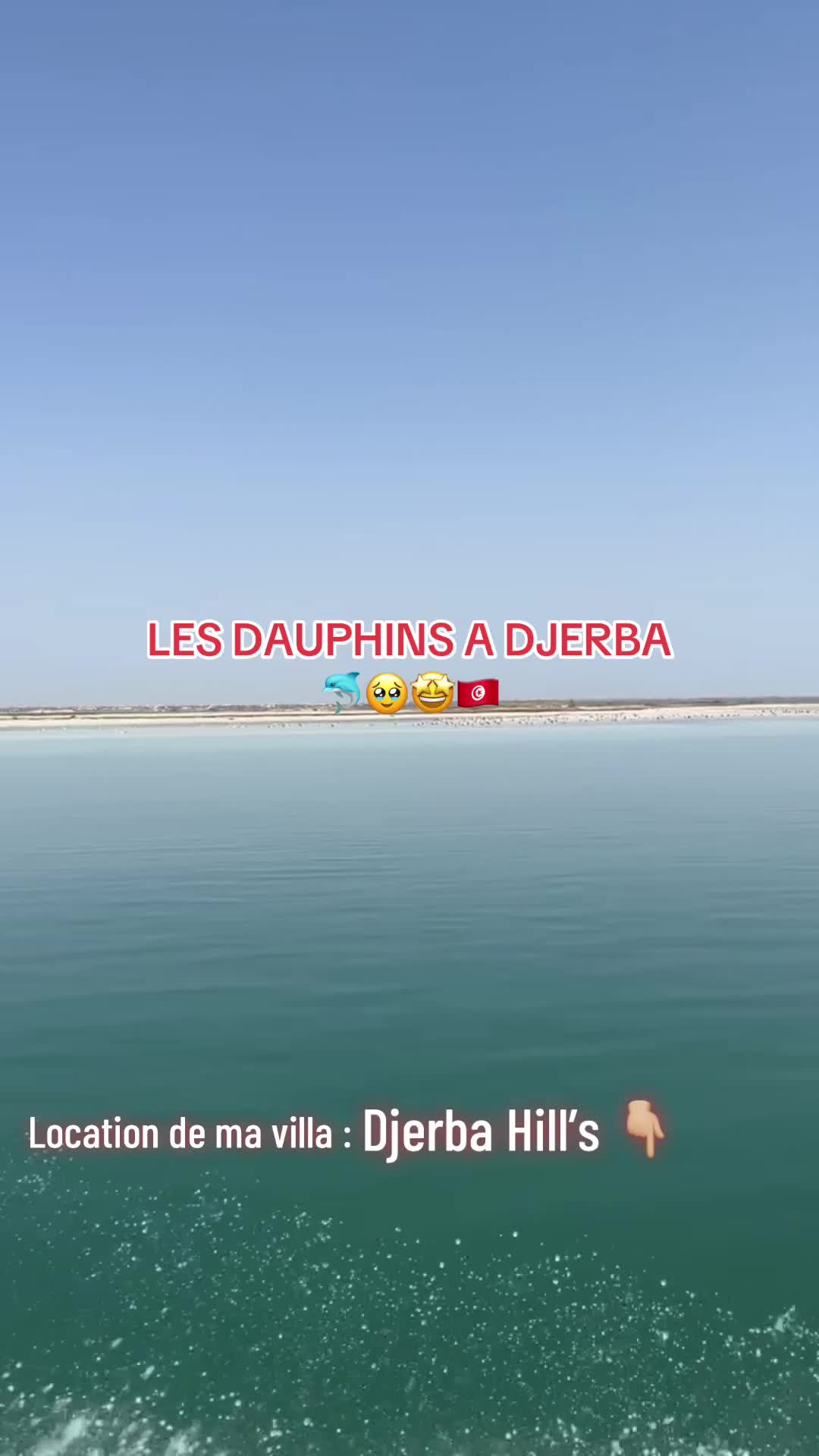 @Neji le perroquet 🤍💛🇵🇸