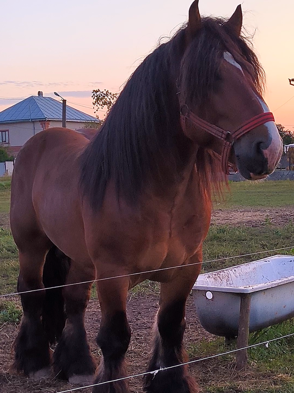 @ВАСЯ БОЙЧУК 🐎