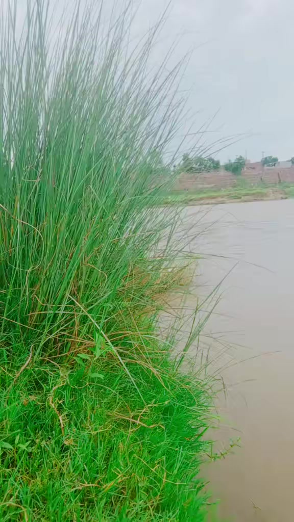 @میری کائنات❤️