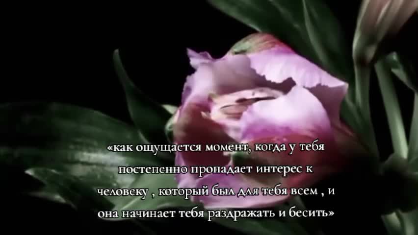 @𝑰'𝒎 𝒕𝒐𝒐 𝒓𝒖𝒅𝒆