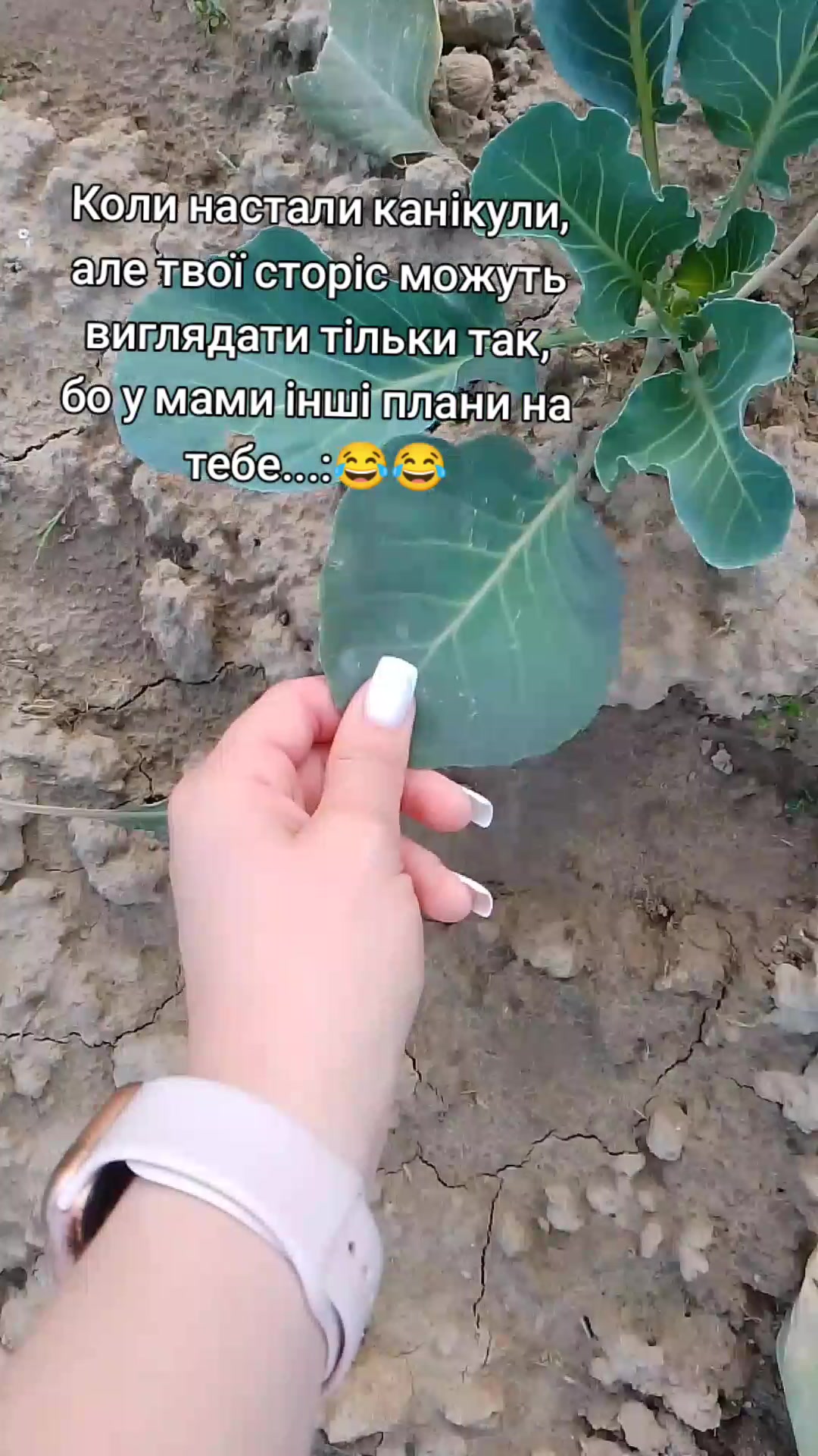 @Сашка_🐈⬛