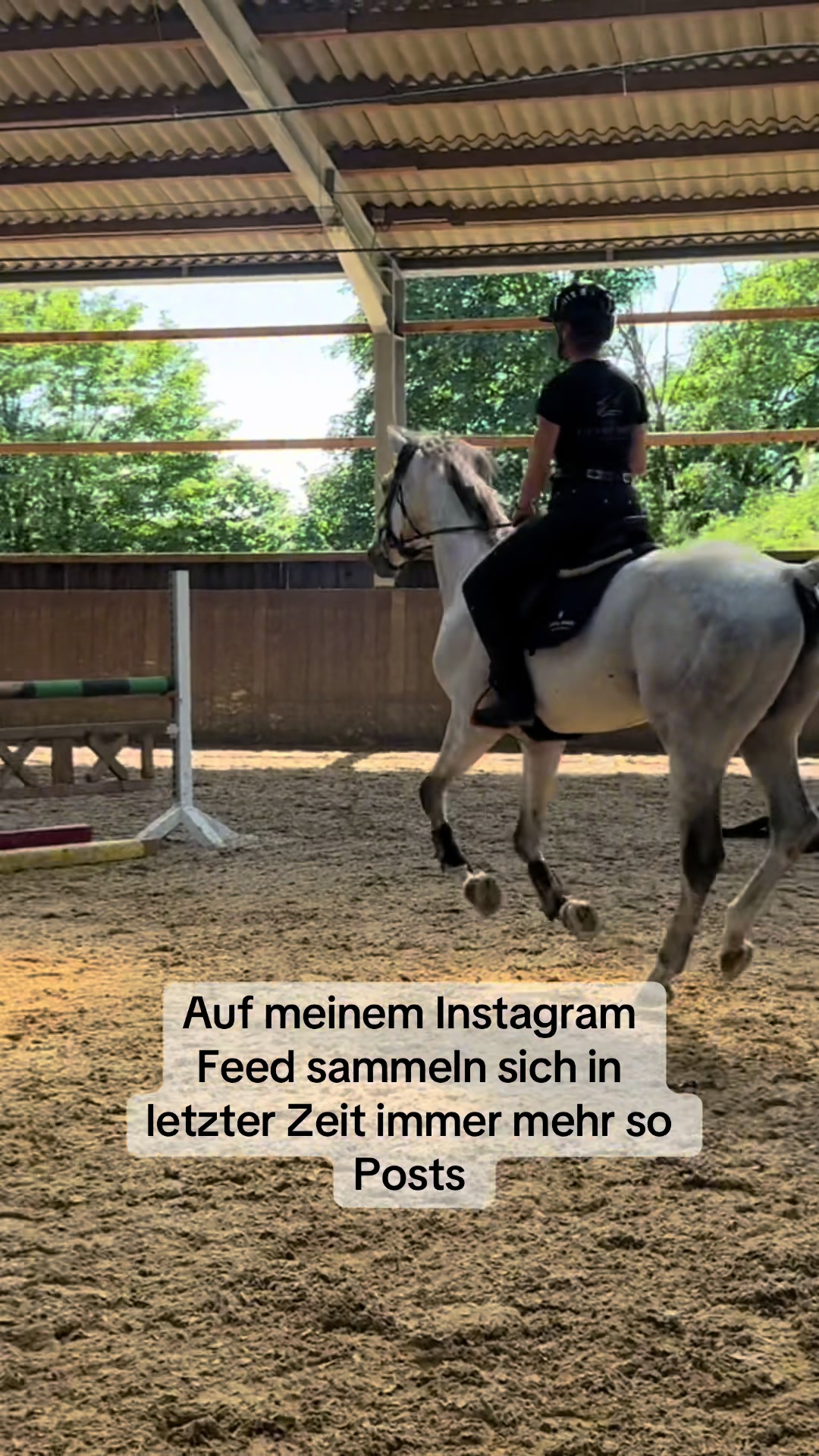 @lam.showjumping