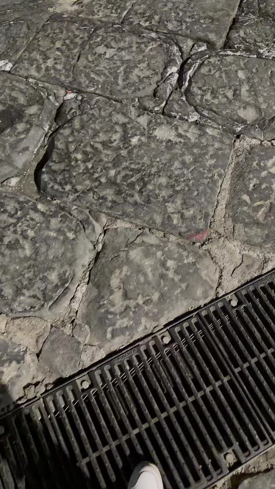 @I ZUCCARIELLI