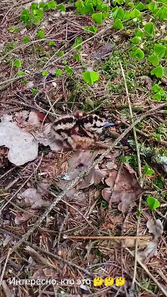 @Инна_🇧🇾🇧🇾🇧🇾_