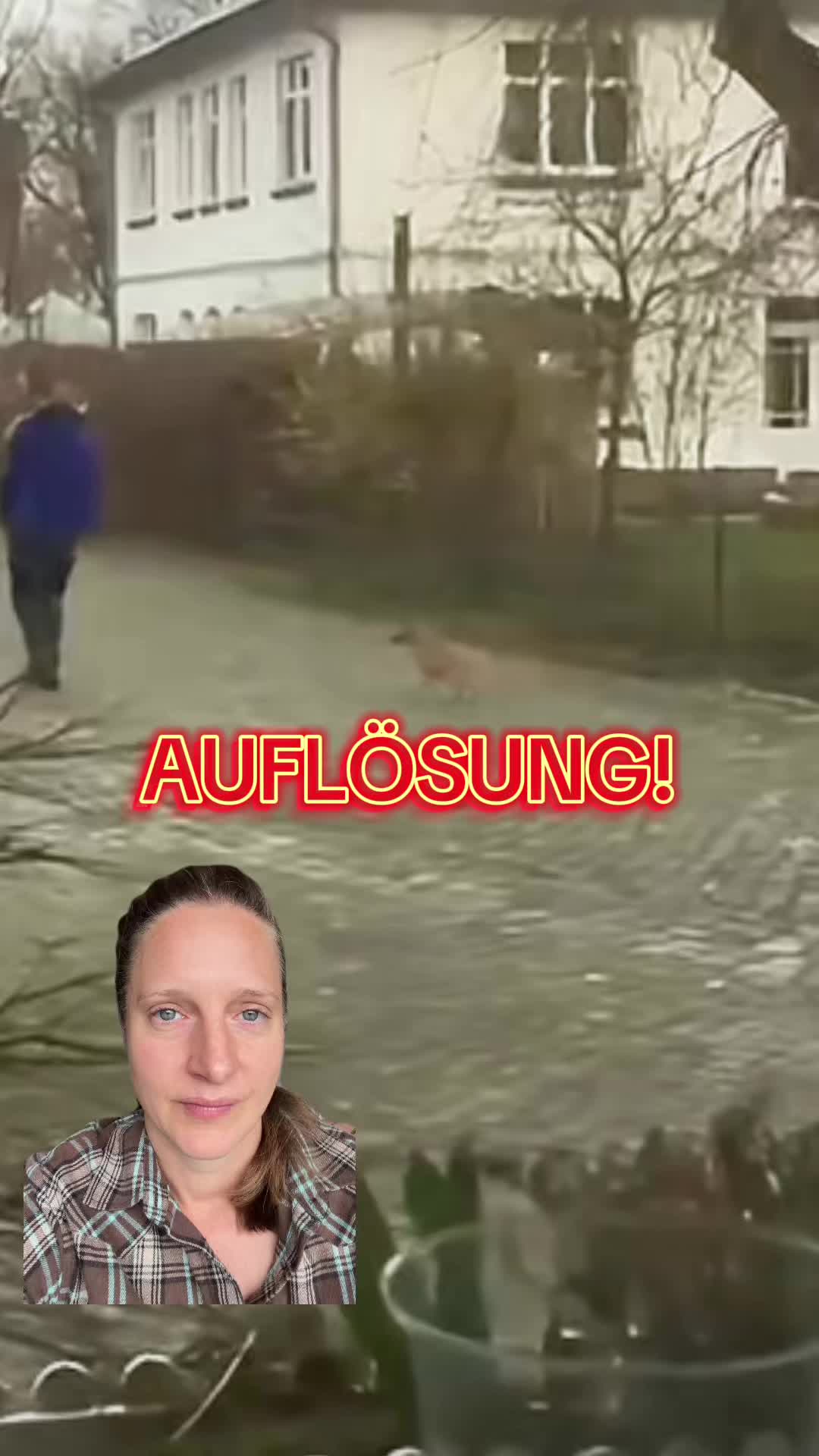 @INSAbenteuerHund