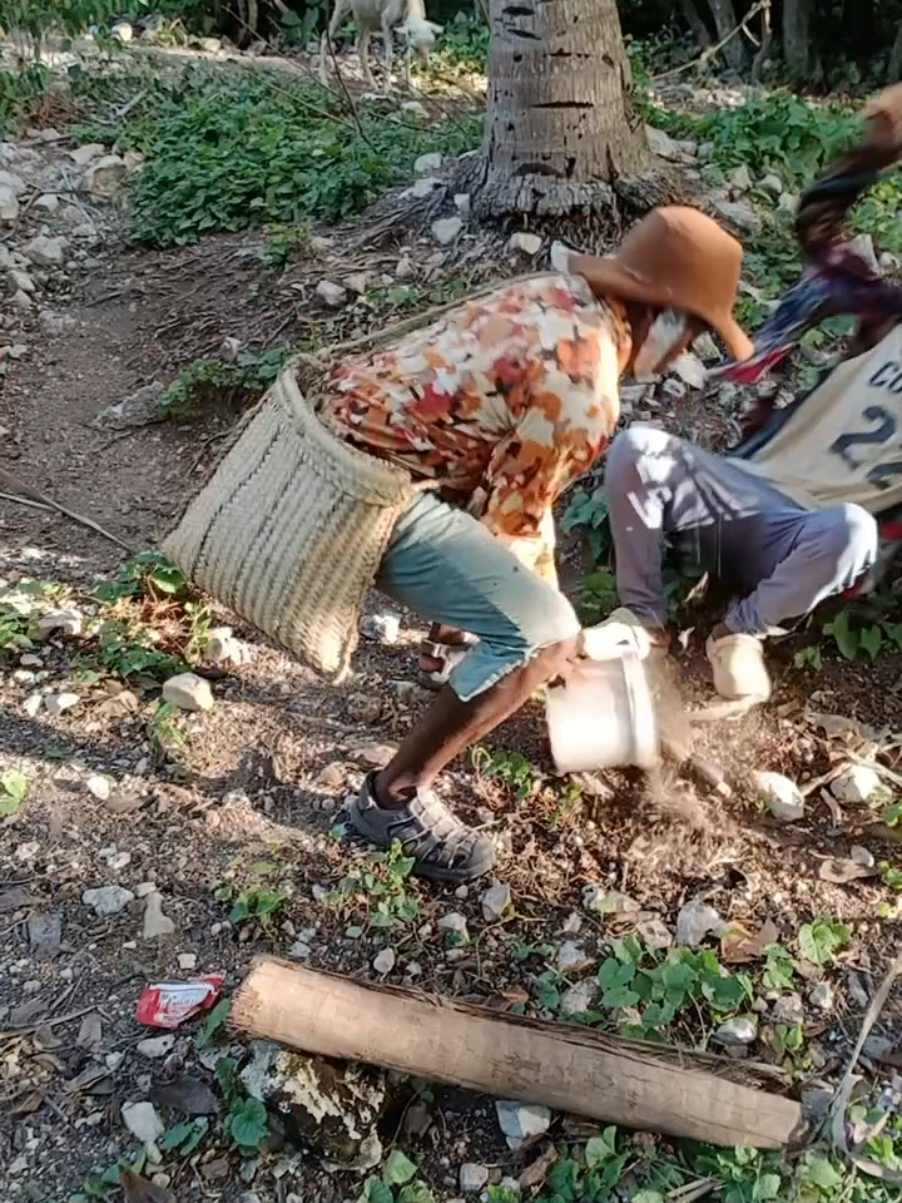 @TON M&Egrave;L&Egrave;K 🐄🐉🐉🇭🇹🇲🇫🇹🇿