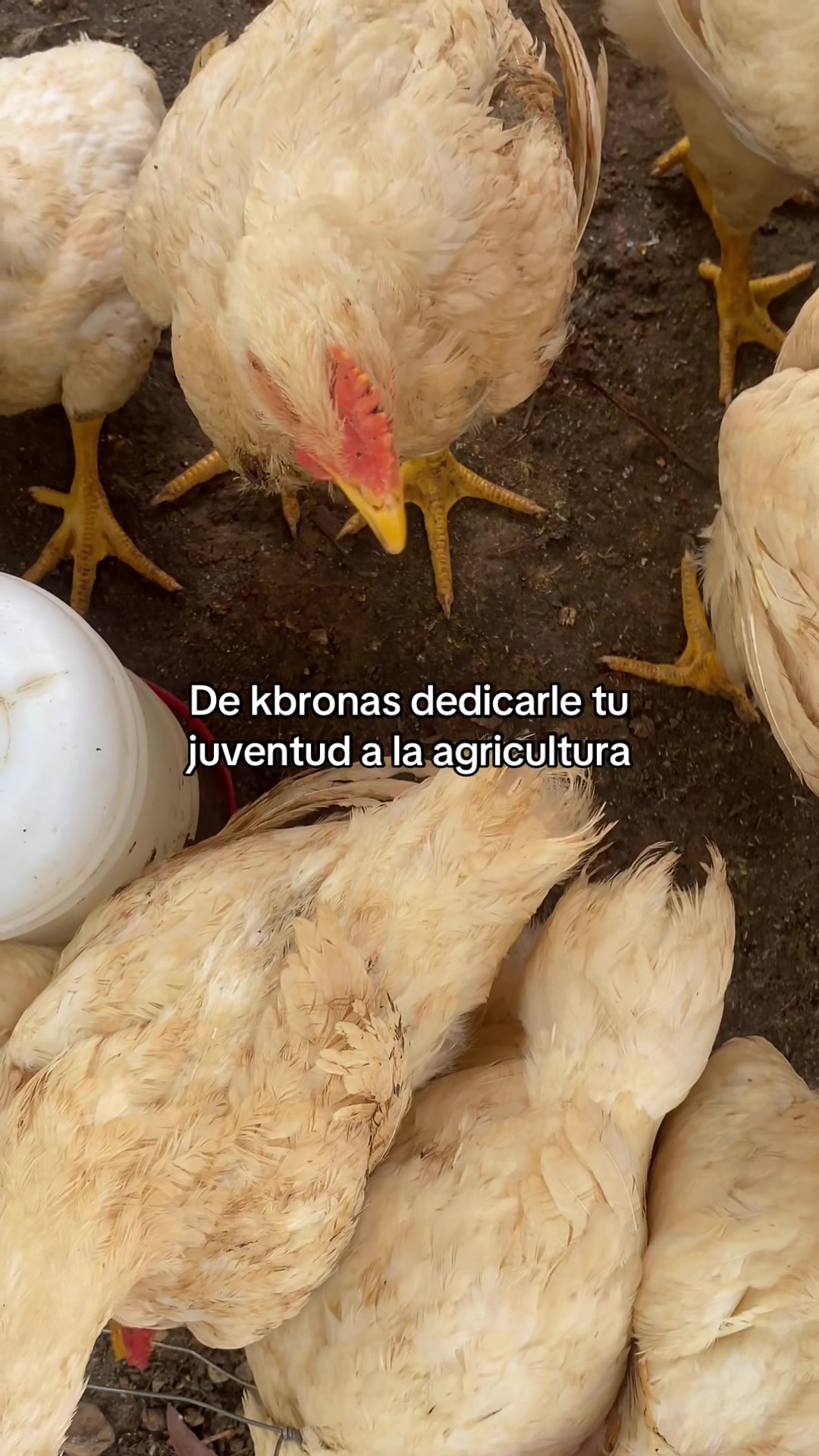 @Mujer Agrícola