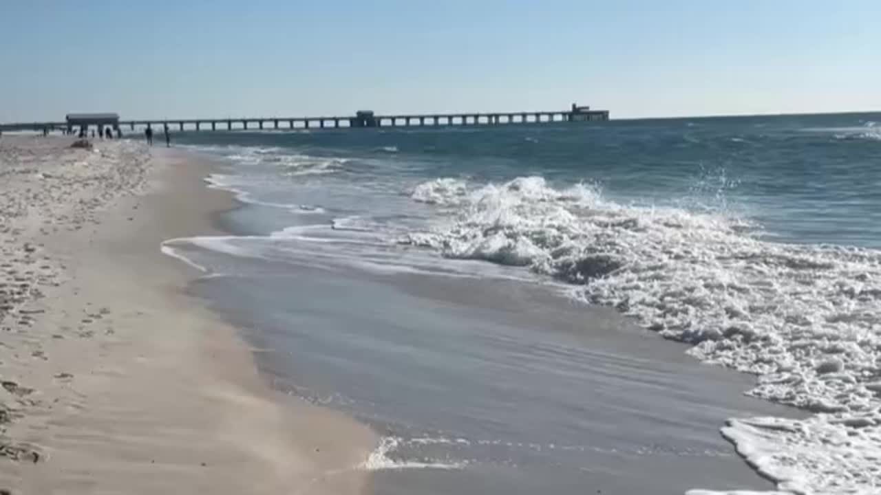 @lizzieann63