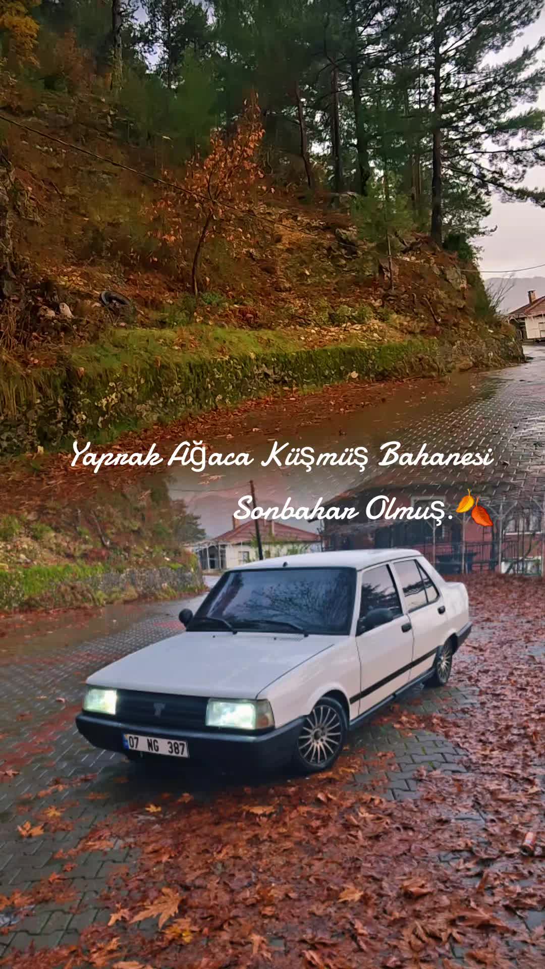 @Ramazan Kaplan