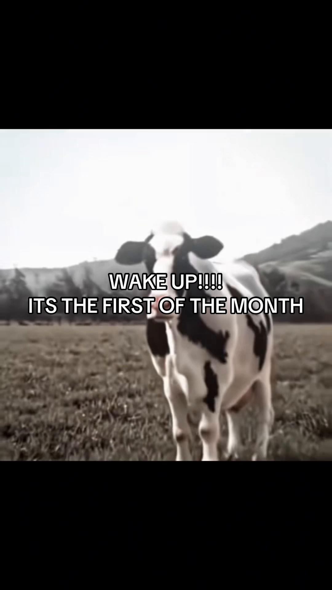 @𝓐ღ
