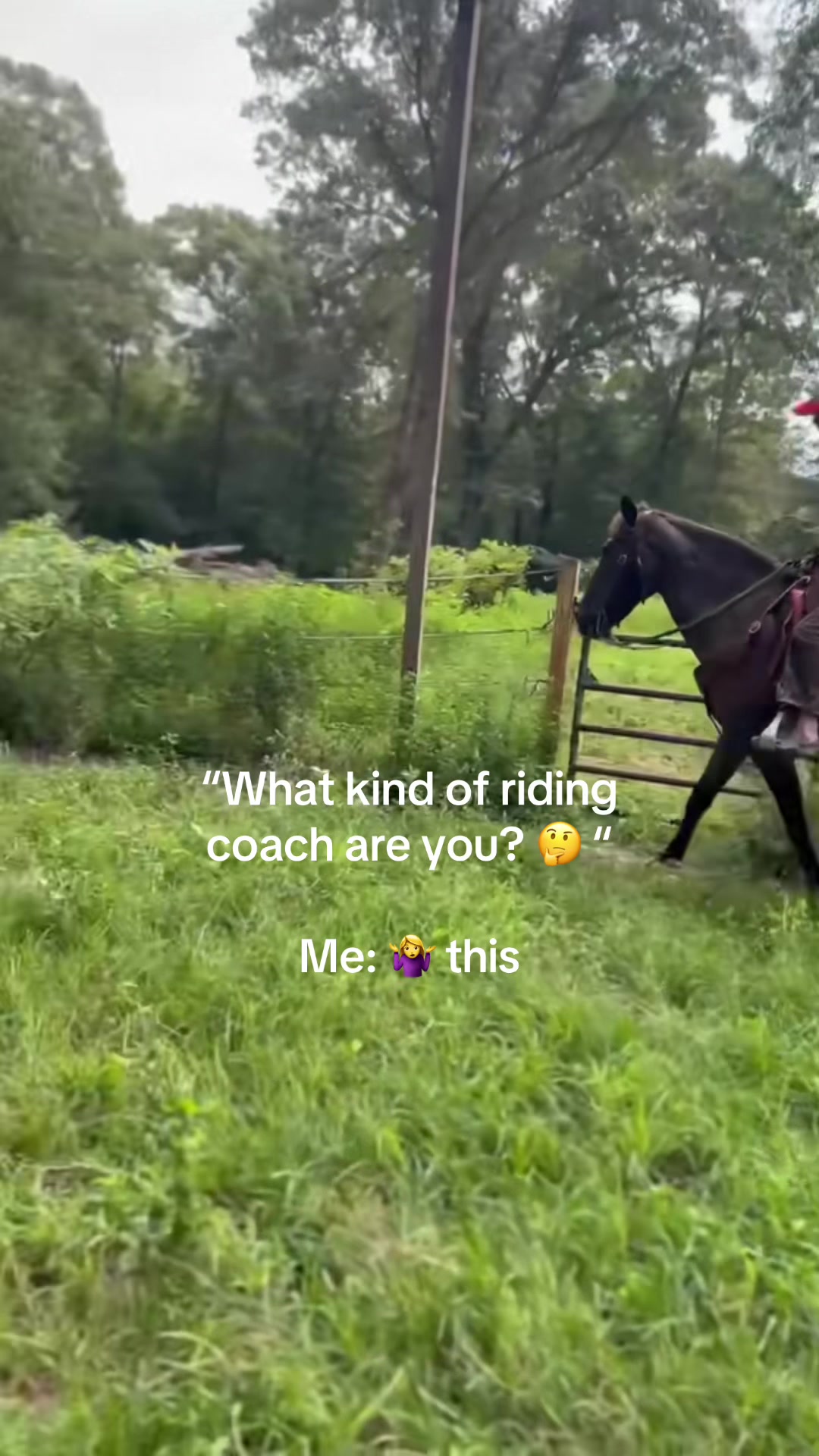 @🐎 Coach CeeJae