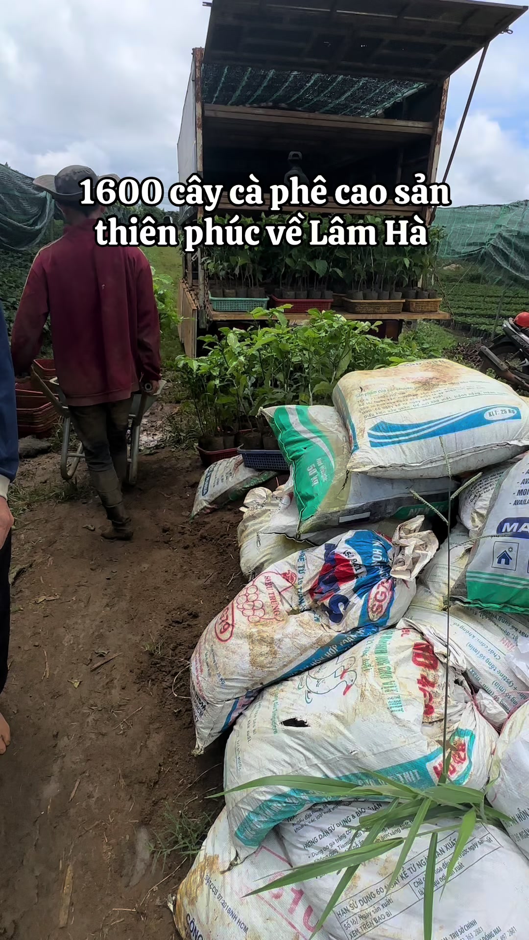 @Thành Bảo Lâm