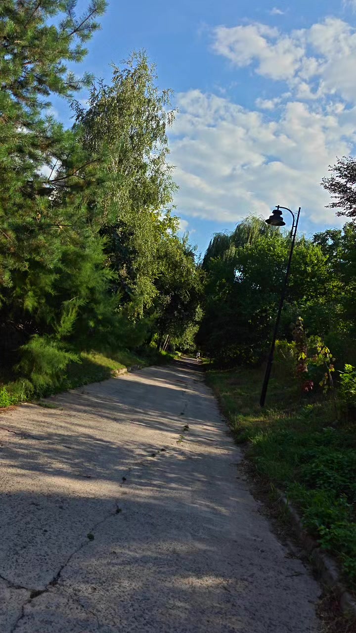 @ℕ𝕒𝕥𝕦𝕣𝕖 𝕝𝕠𝕧𝕖𝕣🌿