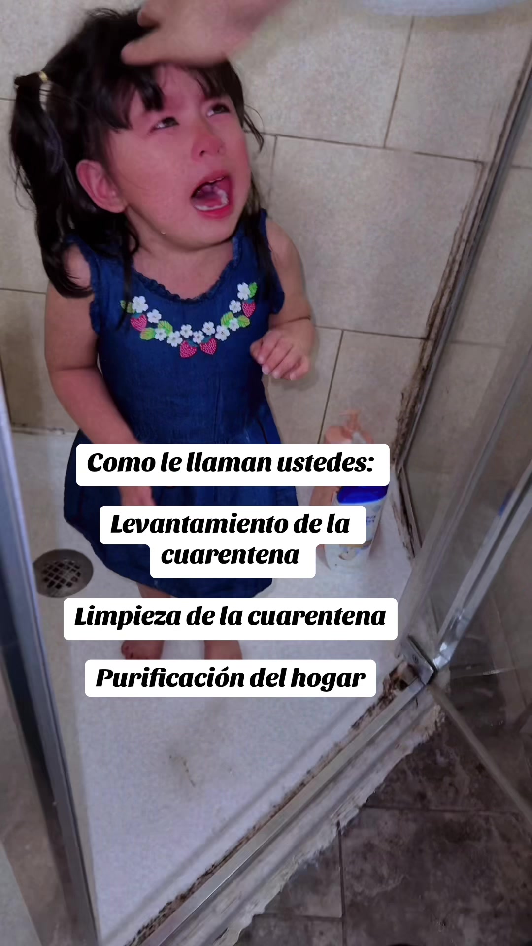 @LA MAESTRA🩷🩵