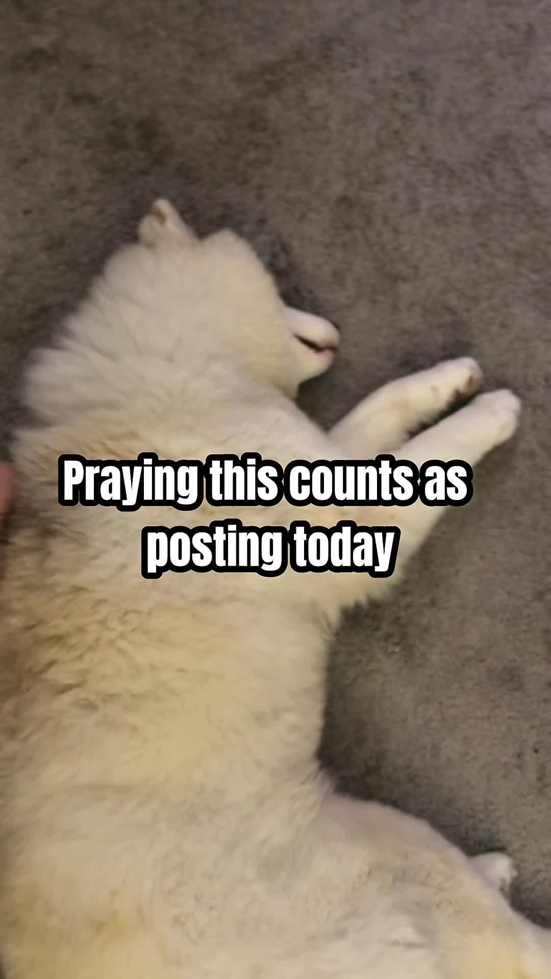 @jessisback13