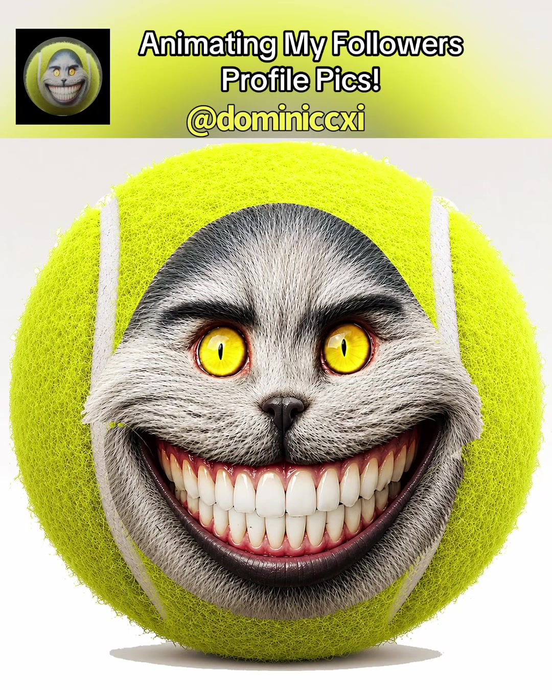 @Frank Hench - Motion Artist