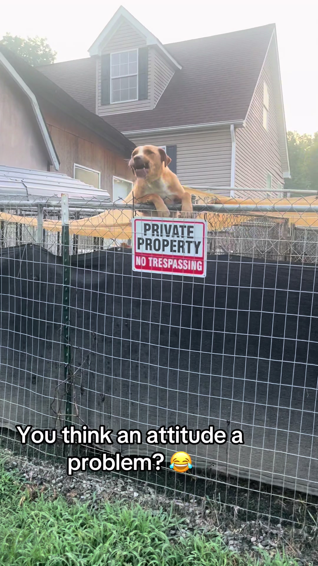 @AJ
