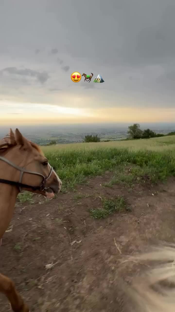@ThunderGallops