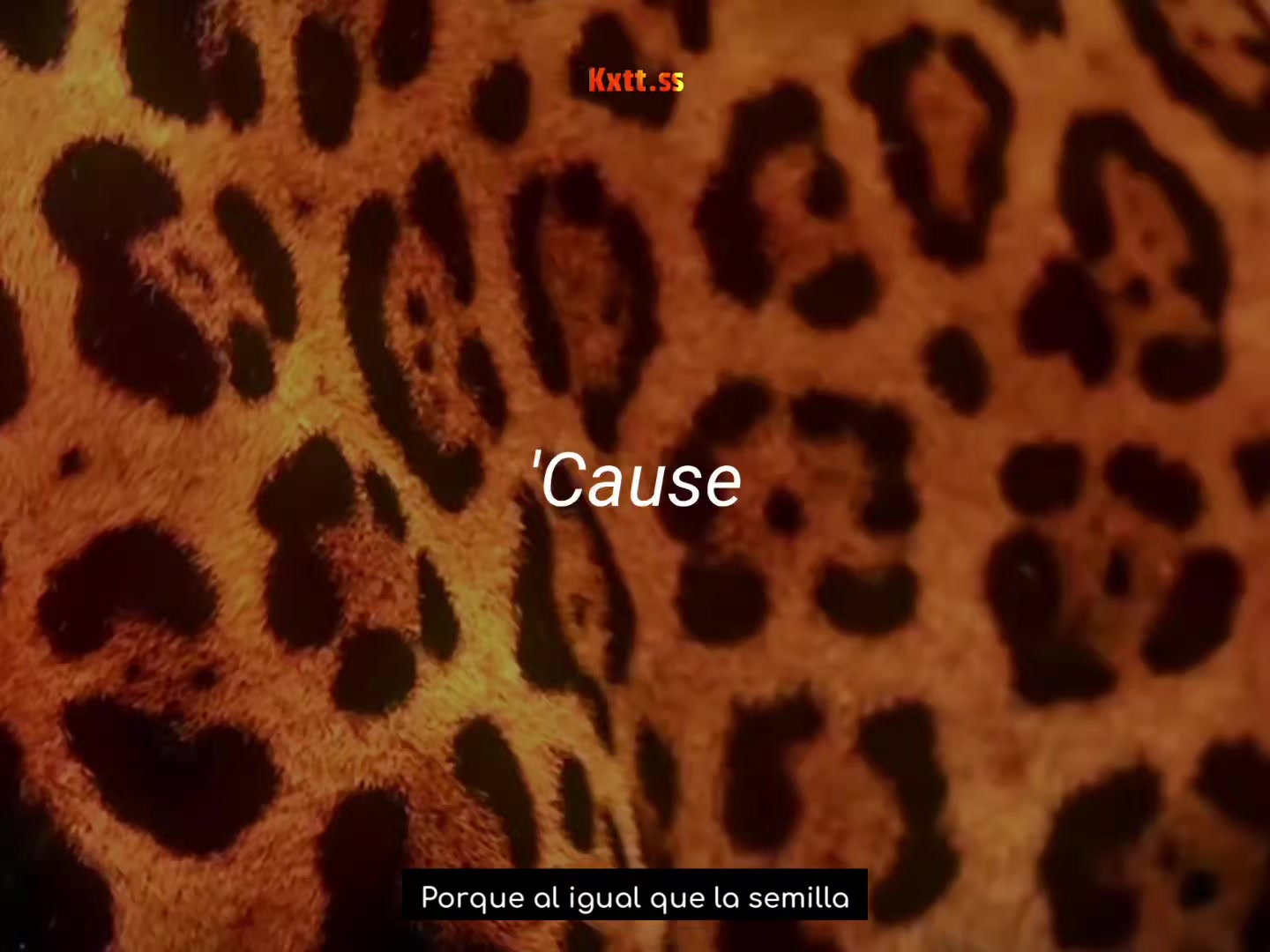@𝙠𝙭𝙩𝙩𝙨