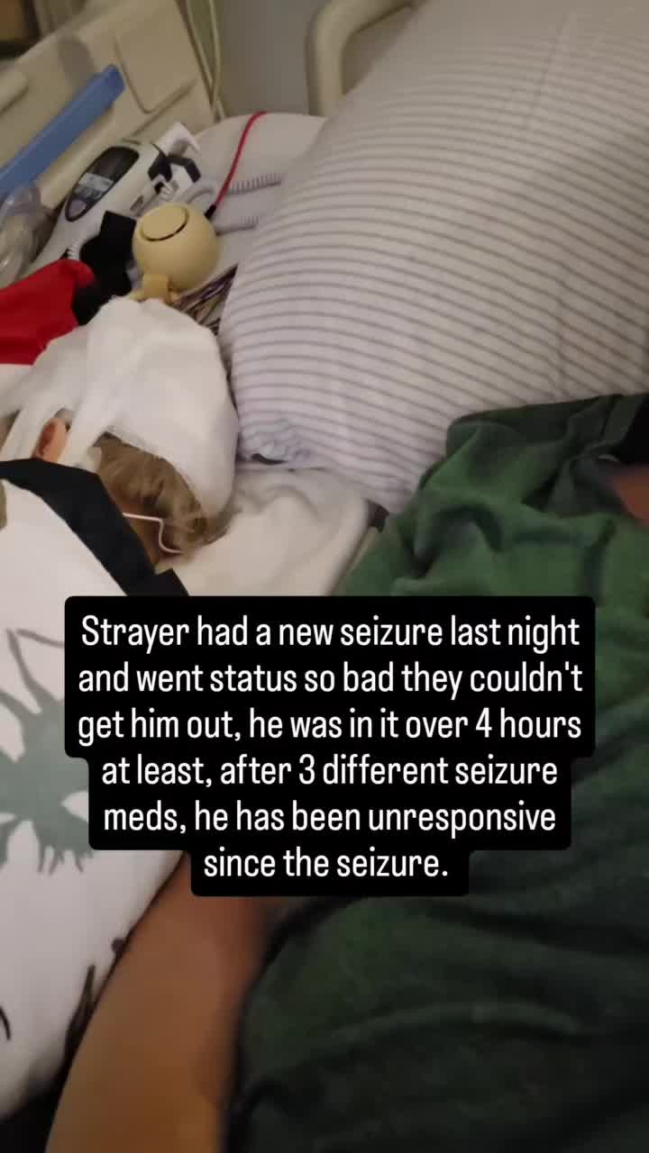 @StrayerStrong & His Mama
