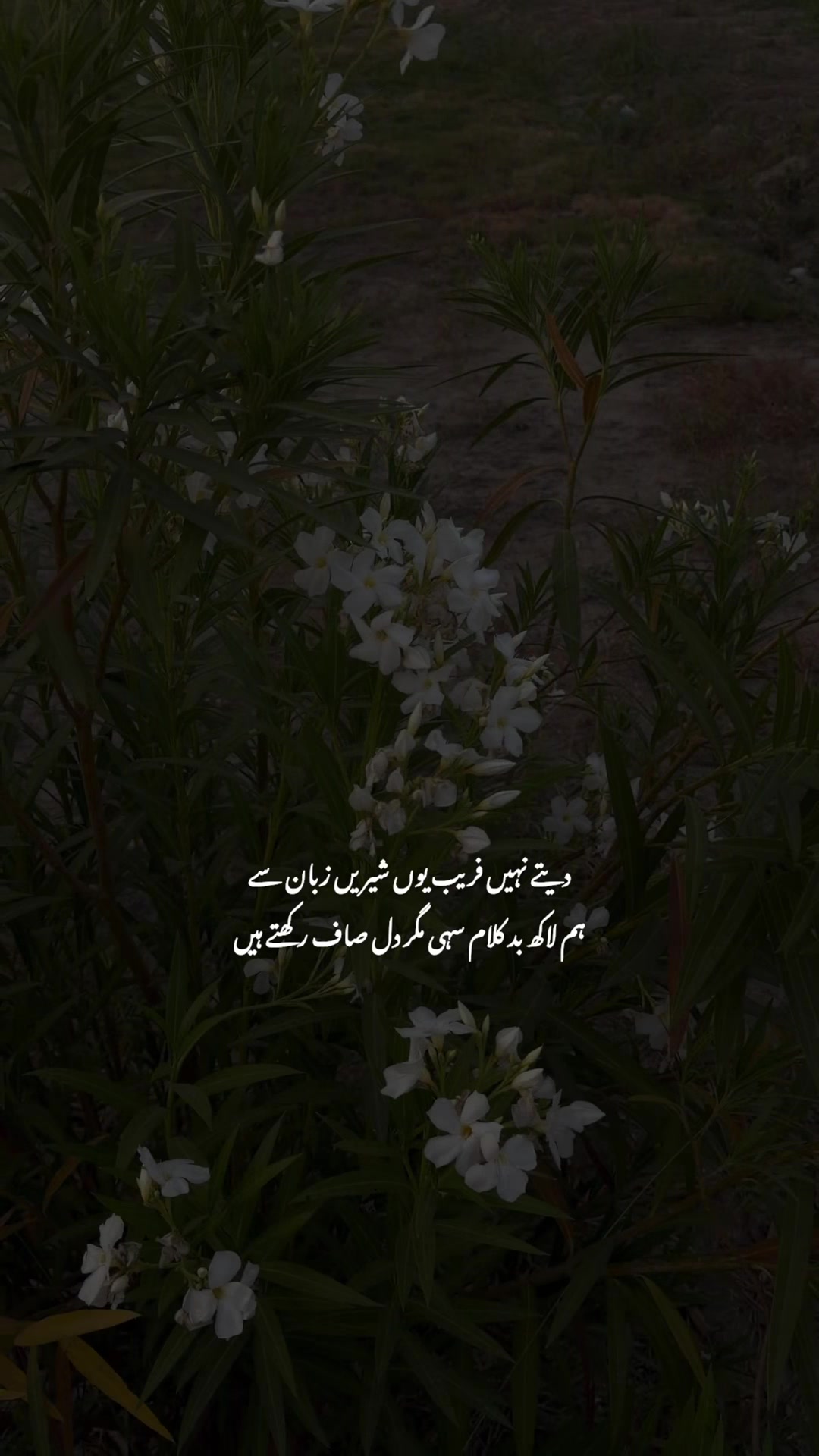 @𝙁𝙖𝙠𝙝𝙖𝙧 ♡