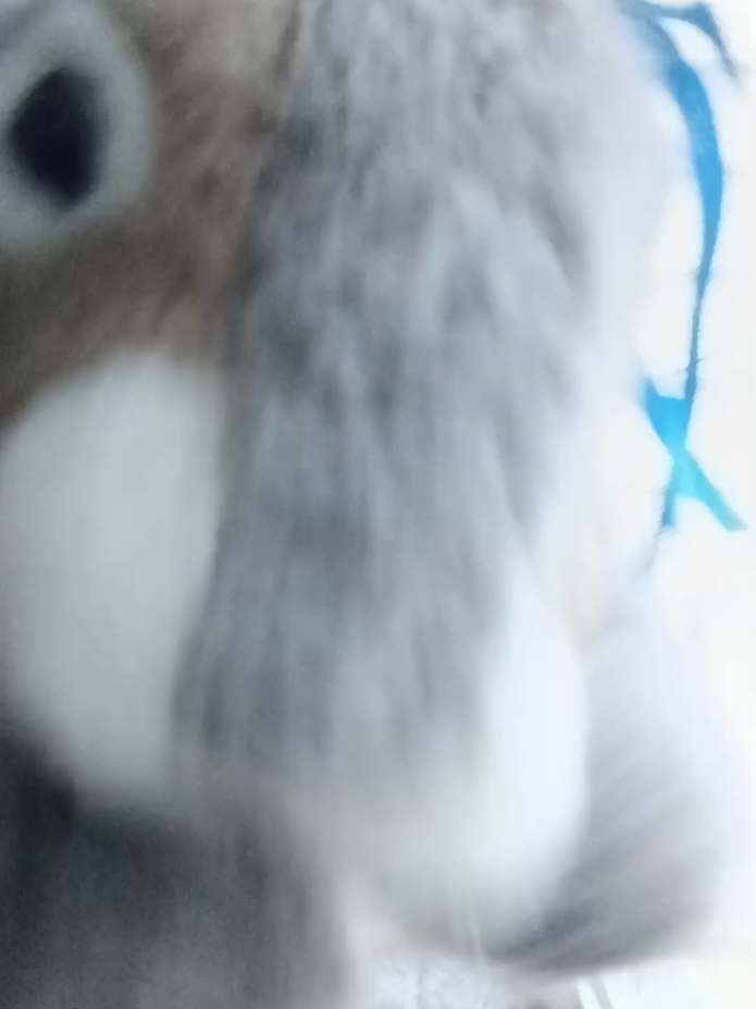 @Charles The Squirrel